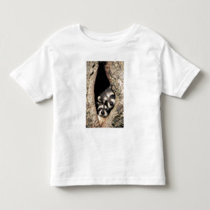 Baby wasberen in boomholte Procyon Kinder Shirts