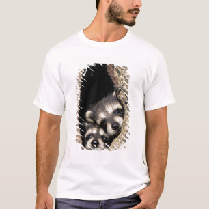 Baby wasberen in boomholte Procyon T-shirt