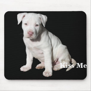 Baby White Pitbull Puppy Muismat