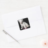 Baby White Pitbull Puppy Vierkante Sticker (Envelop)