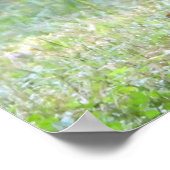 Baby White Tailed Deer Fawn Poster (Hoek)