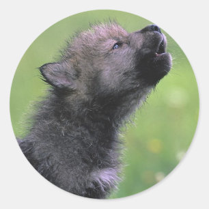 Baby Wolf Howls Ronde Sticker