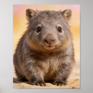Baby Wombat Portret Kinderkamer Muur Kunst Poster