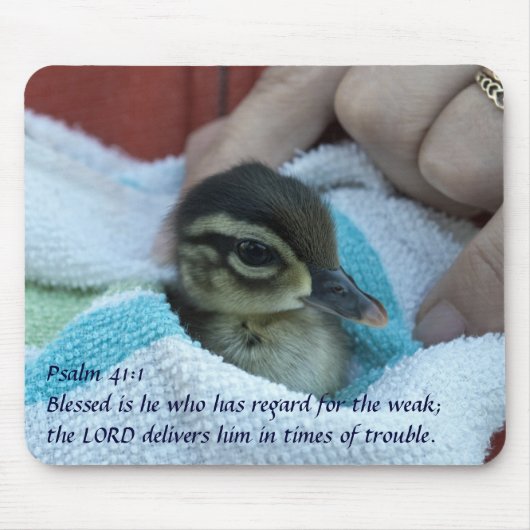 Baby Wood Duck Muismat (Voorkant)