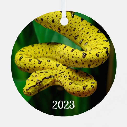 Baby Yellow Phase Green Tree Python Snake Metalen Ornament (Achterkant)