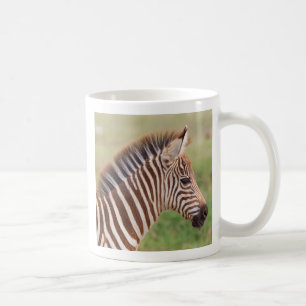 Baby zebra hoofd, Tanzania Koffiemok