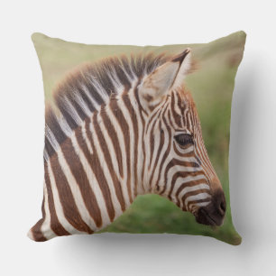 Baby zebra hoofd, Tanzania Kussen