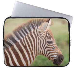 Baby zebra hoofd, Tanzania Laptop Sleeve
