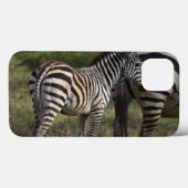 Baby Zebra iPad Mini coque (Verso (horizontal))