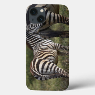 Baby Zebra iPad Mini-hoesje iPhone 13 Hoesje