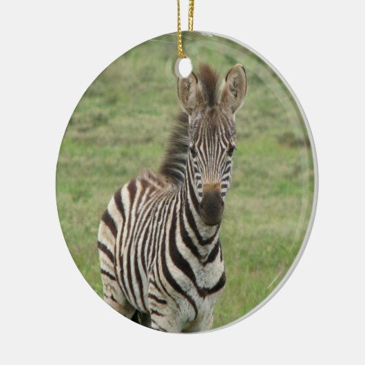 Baby Zebra Ornament (Links)