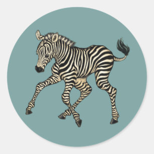 Baby Zebra Ronde Sticker