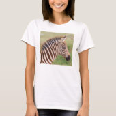 Baby zebra, Tanzania T-shirt (Voorkant)
