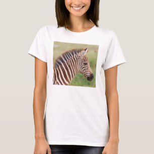 Baby zebra, Tanzania T-shirt