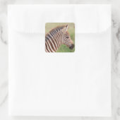 Baby zebra, Tanzania Vierkante Sticker (Tas)