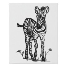 Baby Zebra zwart-wit