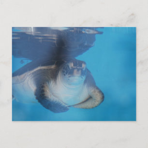 Baby Zee Briefkaart