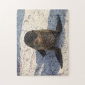 Baby Zee Leeuw Puzzel (Verticaal)