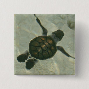 Baby Zee schildpad naar Zee Vierkante Button 5,1 Cm