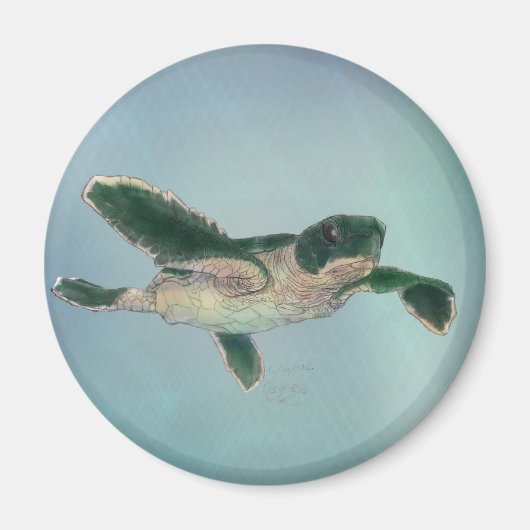 Baby Zee Turtle Magneet (Voorkant)