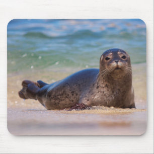 Baby zeehond in water muismat