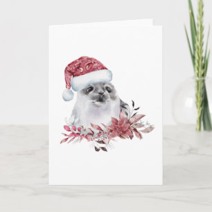 Baby zeehond met kerstmuts kaart