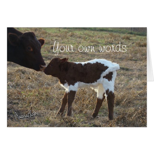 BabyBliss-toute occasion-personnaliser (Devant horizontal)