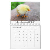 Babydieren Kalender (Feb 2026)