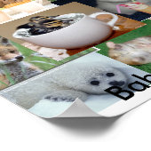 Babydieren Poster (Hoek)