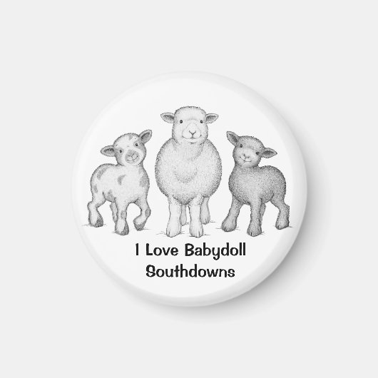 Babydoll Sheep Magnet Magneet (Voorkant)