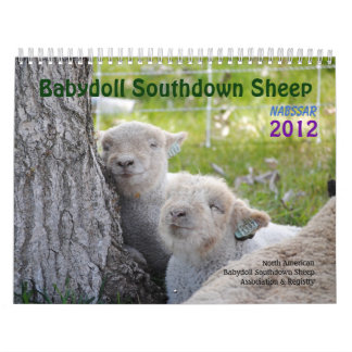 Babydoll Southdown Sheep 2012 NABSSAR-kalender Kalender