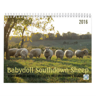 Babydoll Southdown Sheep 2016 NABSSAR Calendar Kalender