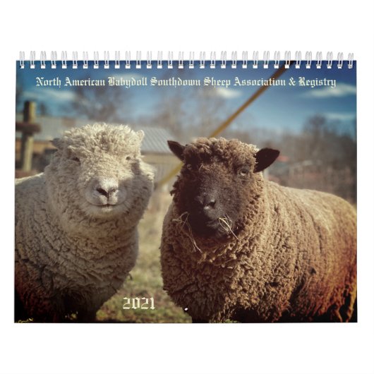 Babydoll Southdown Sheep 2021 Calendrier NABSSAR (Protection)