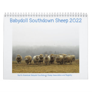 Babydoll Southdown Sheep 2022 Calendrier NABSSAR