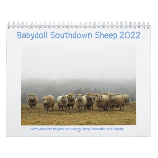 Babydoll Southdown Sheep 2022 Calendrier NABSSAR (Protection)