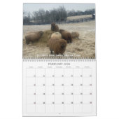 Babydoll Southdown Sheep 2022 Calendrier NABSSAR (Feb 2026)