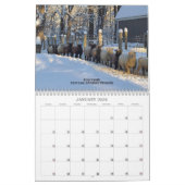 Babydoll Southdown Sheep 2024 Calendrier NABSSAR (Jan 2026)