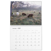 Babydoll Southdown Sheep Calendrier (Jan 2027)