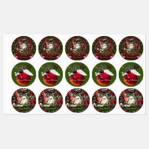 Babyduif Labels