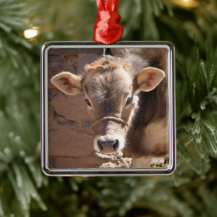 Babykoe - Bruin babykalf Close-up gezicht Metalen Ornament