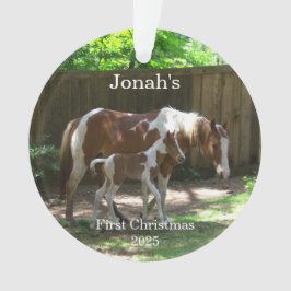 Baby's 1st Christmas Horse Acryl Ornament