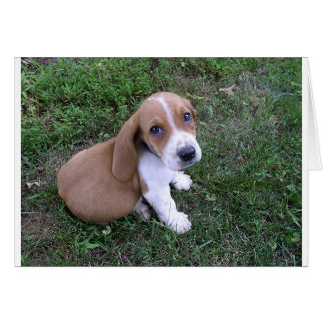 baby's (8) (Voorkant Horizontaal)