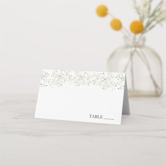 Baby's Breath Naam Plaatjes (Voorkant)