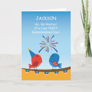 Babys Eerste 4 juli Vogels kijken naar vuurwerk Kaart