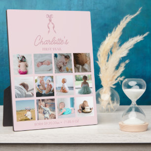 Baby's Eerste Jaar Foto'S Geboortestatistieken Roz Fotoplaat