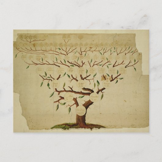 Bach Family Tree, c.1750-1770 Briefkaart (Voorkant)