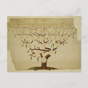 Bach Family Tree, c.1750-1770 Briefkaart