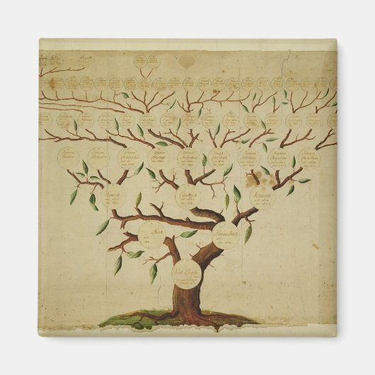 Bach Family Tree, c.1750-1770 Magneet (Voorkant)