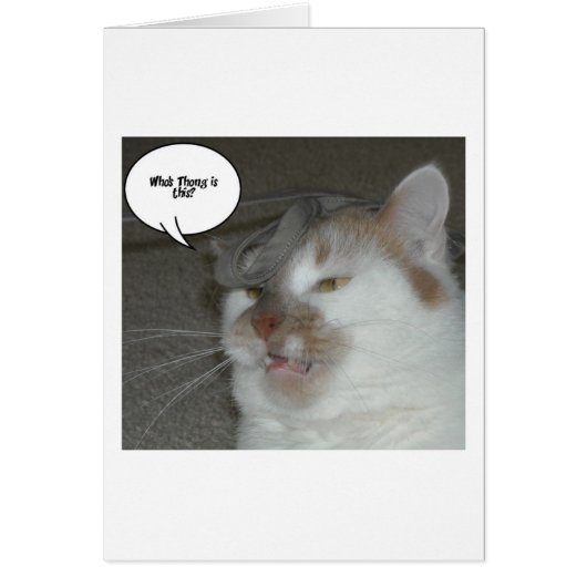 Bachelor Party Humor (Voorkant)