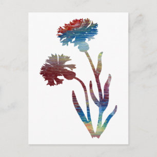 Bachelor's Button Briefkaart
